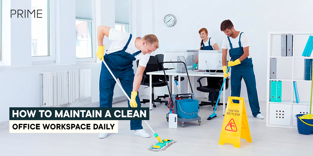 Office Cleaning Between Professional Visits